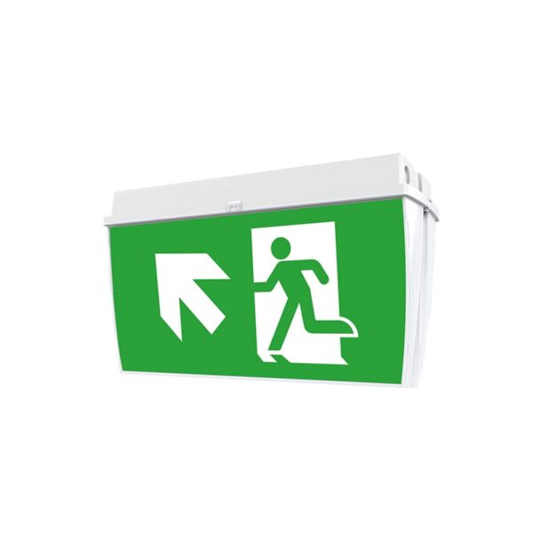 Goodwin Led Module Pictogram LED Noodverlichting Exit Sign IP65 | Plafondmontage | Autotest ...