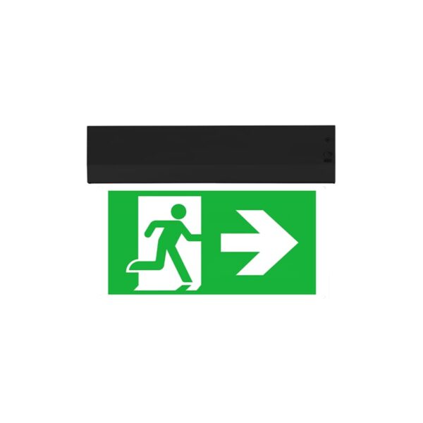 Goodwin Led Module Pictogram LED Nooduitgang Bord | Surface Mount | Zwart | AT | Inclusief Pictogram ...