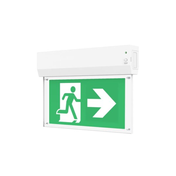 Goodwin Led Module Pictogram LED Nooduitgang Bord | Surface Mount | Wit | AT | Inclusief Pictogram ...
