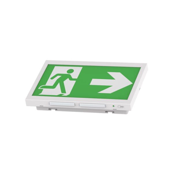 Goodwin Led Module Pictogram LED Noodverlichting Exit Sign Wandmontage Wit | Autotest | Inclusief ...